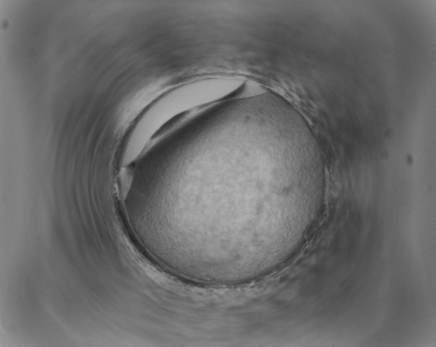 X0000088380005200706121156