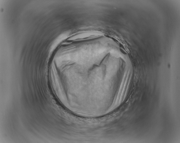 X0000088380006200706121156