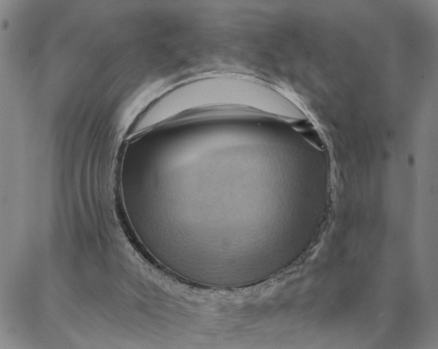 X0000088380007200706121156