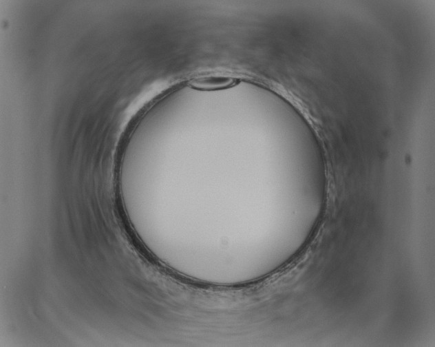 X0000088380008200706121156