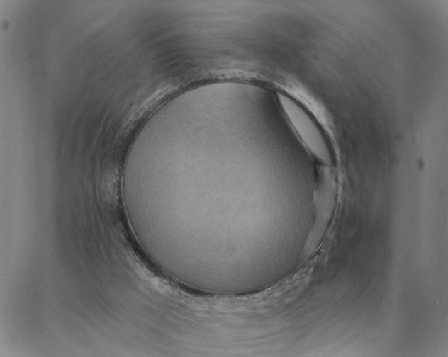 X0000088380009200706121156