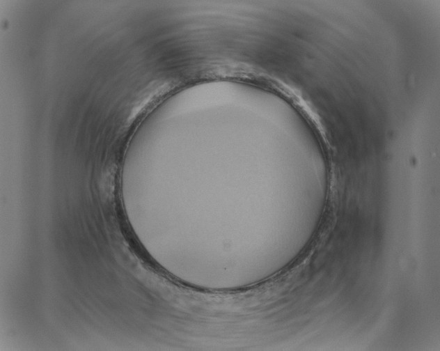 X0000088380010200706121156