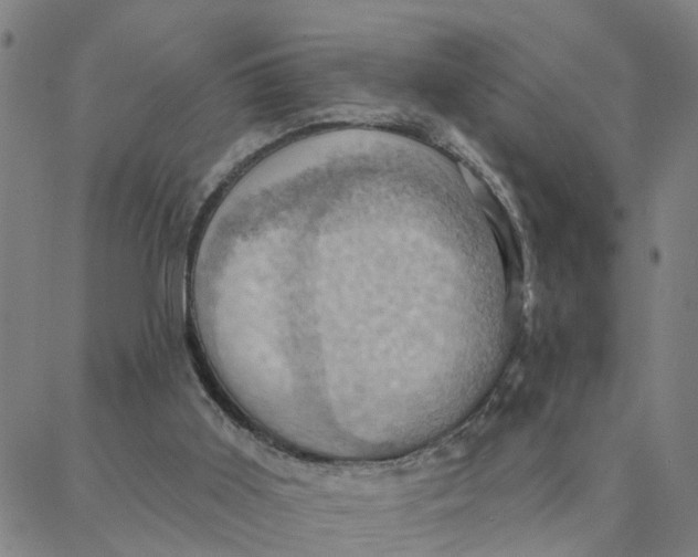 X0000088380011200706121156