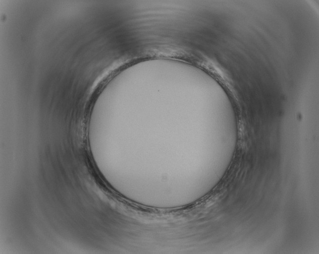 X0000088380012200706121156