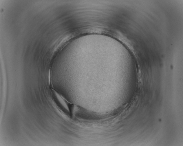 X0000088380013200706121156