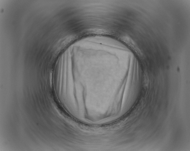 X0000088380014200706121156