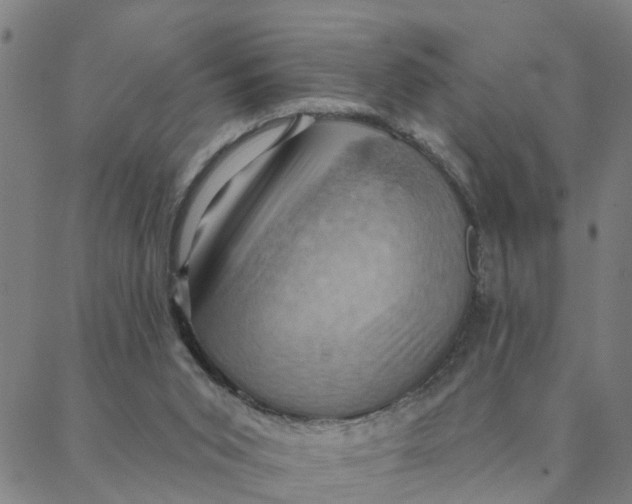 X0000088380015200706121156