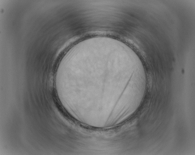 X0000088380016200706121156