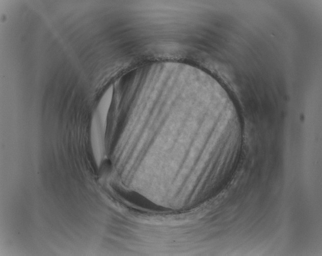 X0000088380017200706121156