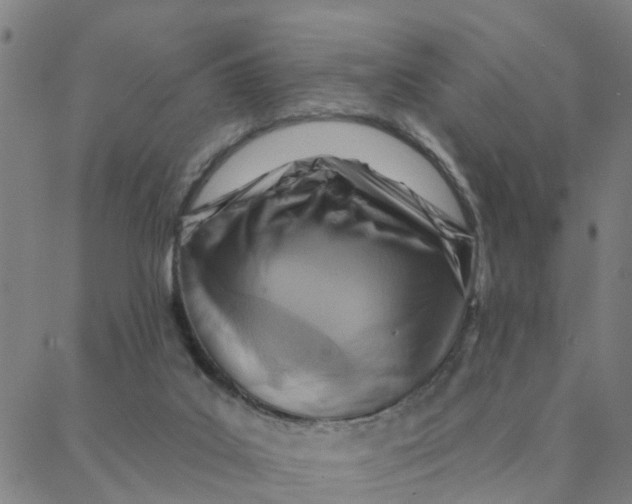 X0000088380019200706121156