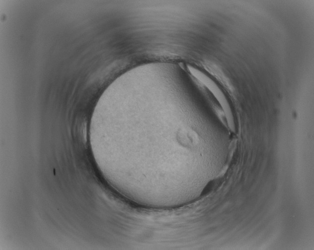 X0000088380021200706121156