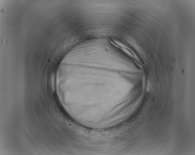 X0000088380022200706121156