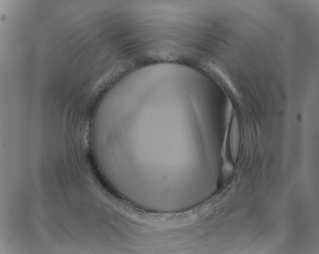 X0000088380023200706121156