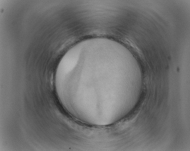 X0000088380024200706121156