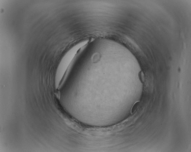 X0000088380025200706121156