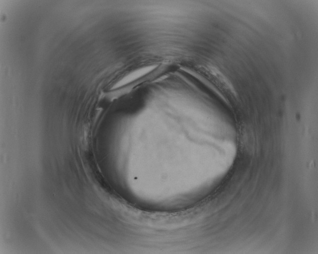 X0000088380026200706121156