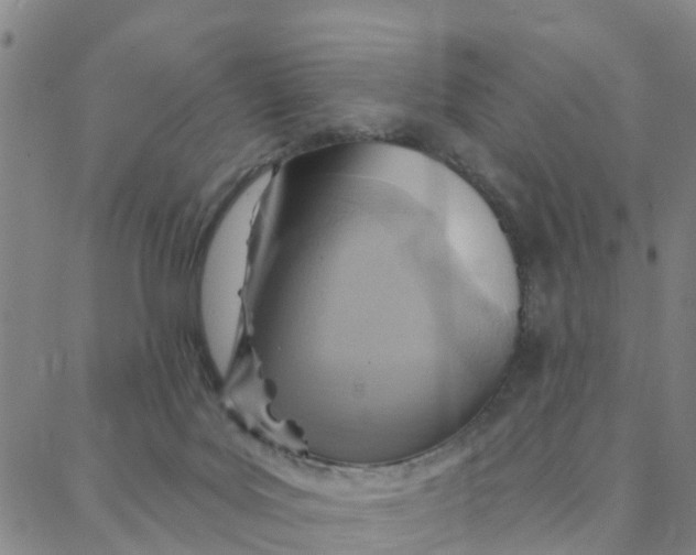 X0000088380027200706121156