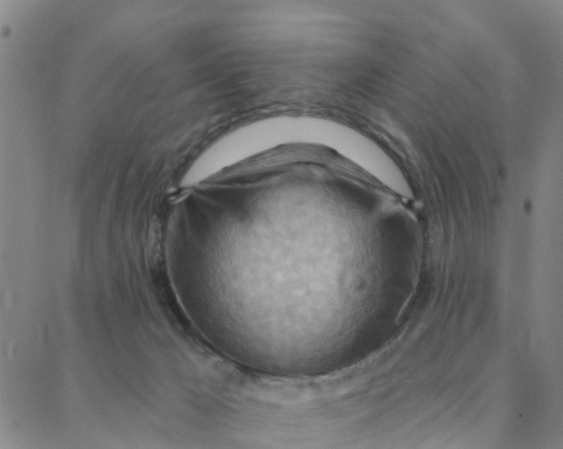 X0000088380029200706121156