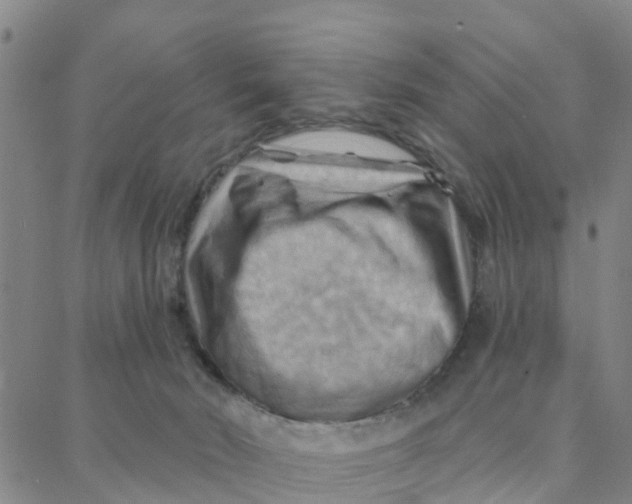 X0000088380030200706121156