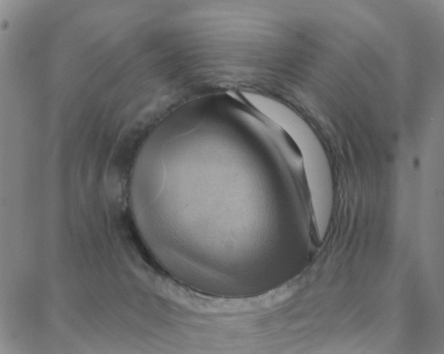 X0000088380031200706121156