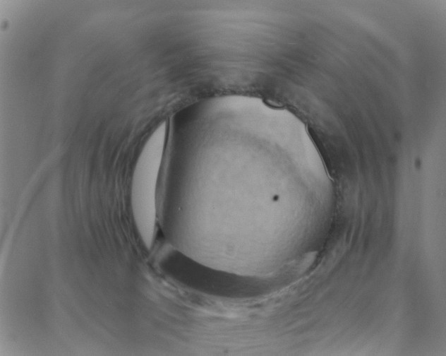 X0000088380033200706121156