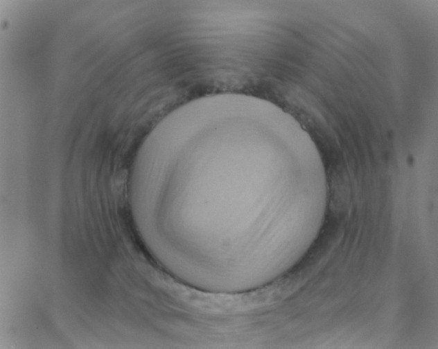 X0000088380034200706121156