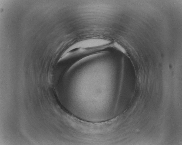 X0000088380035200706121156