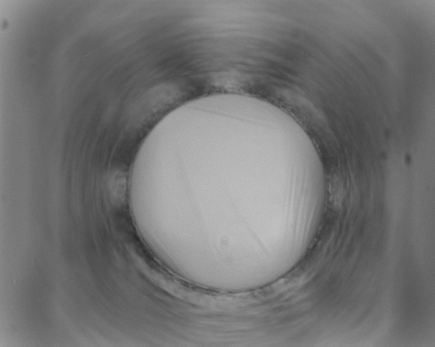 X0000088380036200706121156