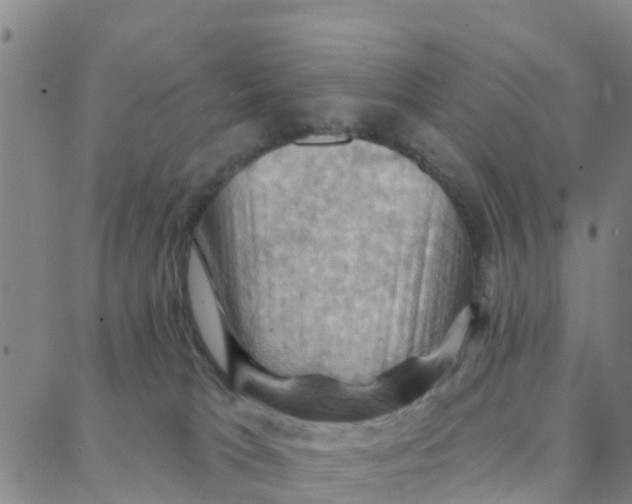 X0000088380037200706121156