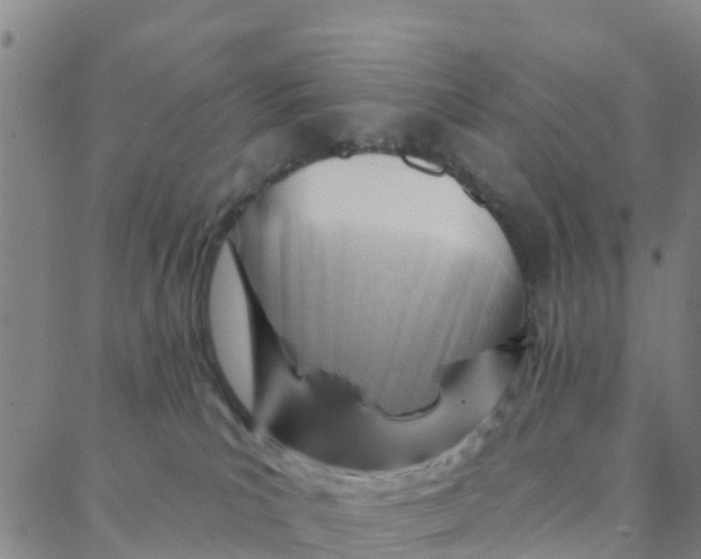 X0000088380039200706121156