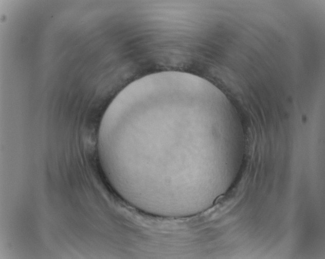 X0000088380040200706121156