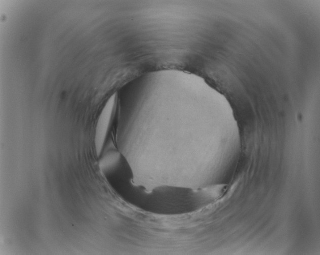 X0000088380041200706121156