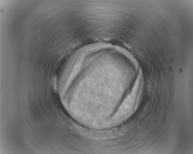 X0000088380042200706121156