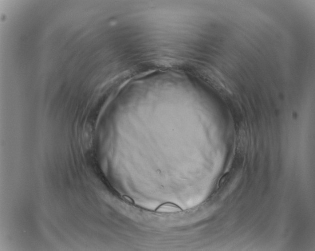 X0000088380043200706121156