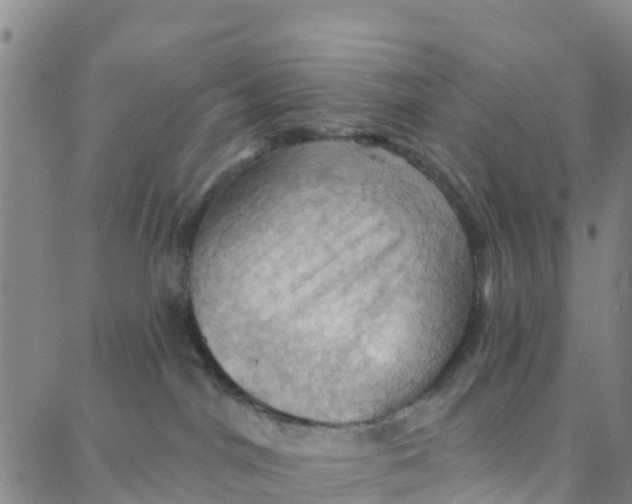 X0000088380044200706121156