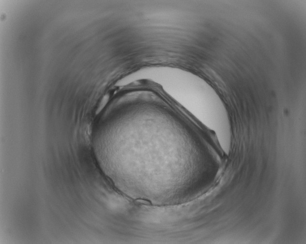 X0000088380045200706121156