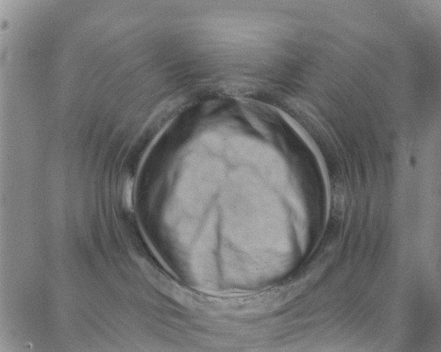 X0000088380046200706121156