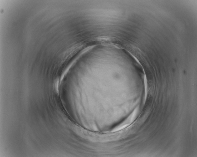 X0000088380047200706121156