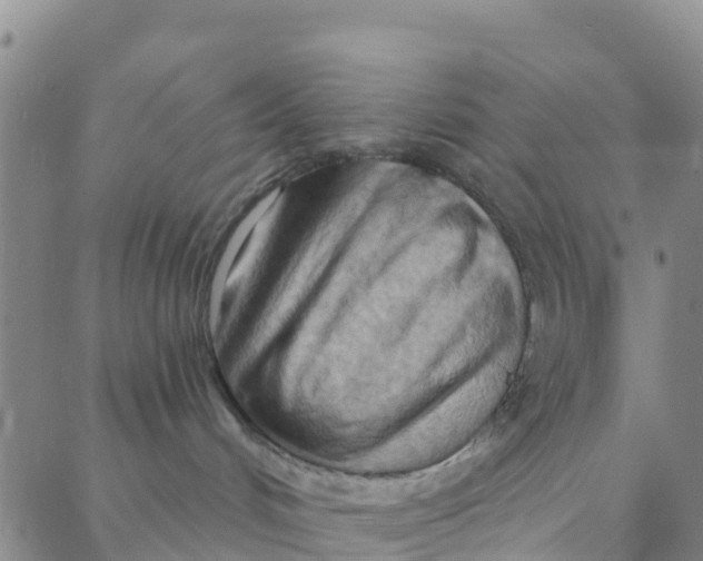 X0000088380048200706121156