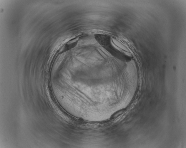 X0000088380049200706121155