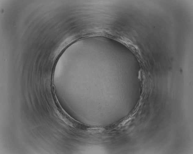 X0000088380051200706121155