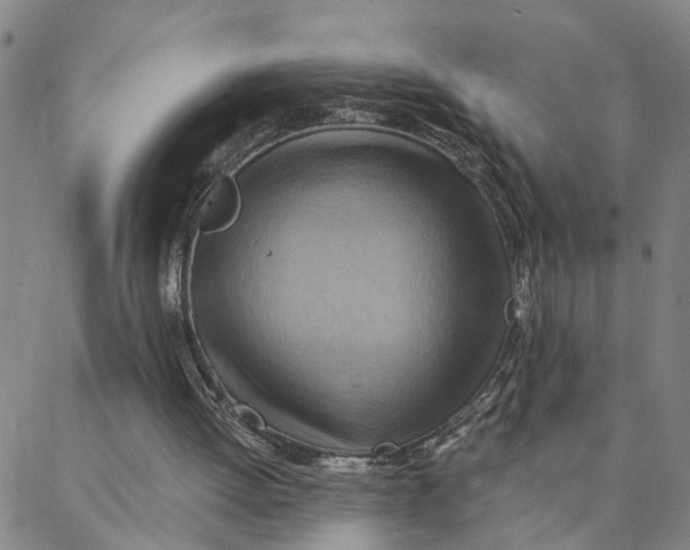 X0000088380052200706121155