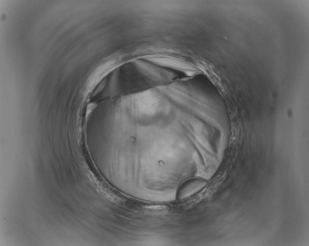 X0000088380053200706121155