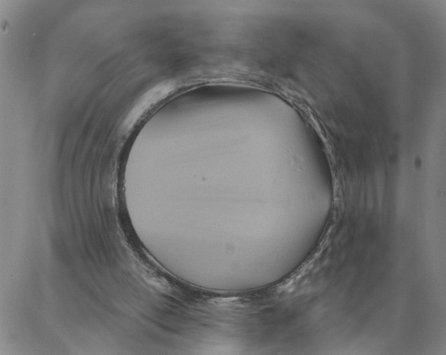 X0000088380054200706121155