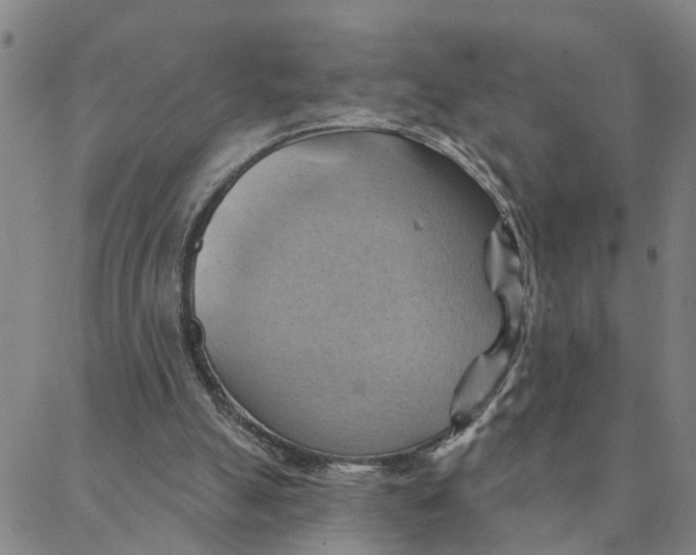 X0000088380055200706121155