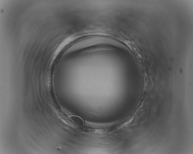 X0000088380056200706121155