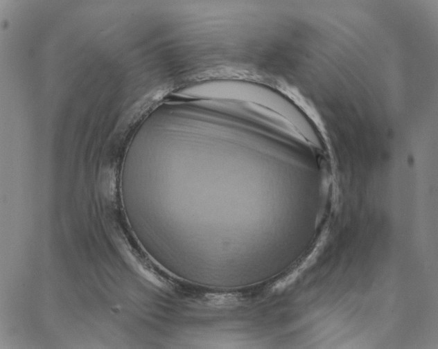 X0000088380057200706121155