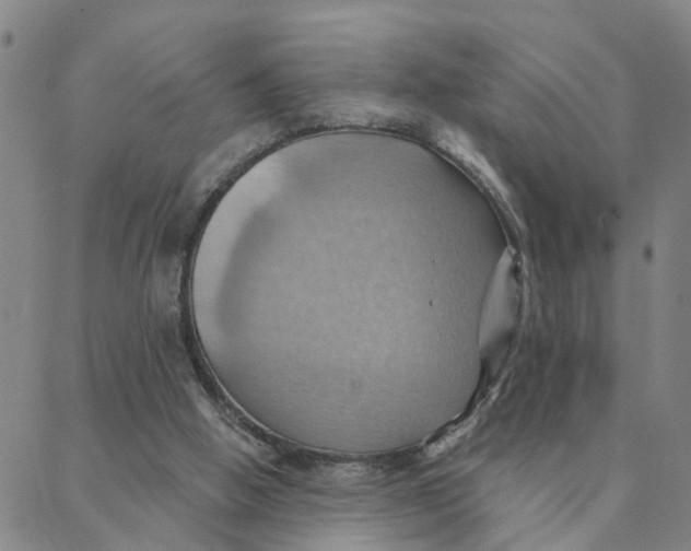 X0000088380058200706121155