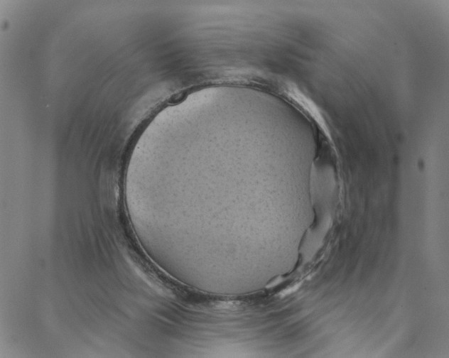 X0000088380059200706121155