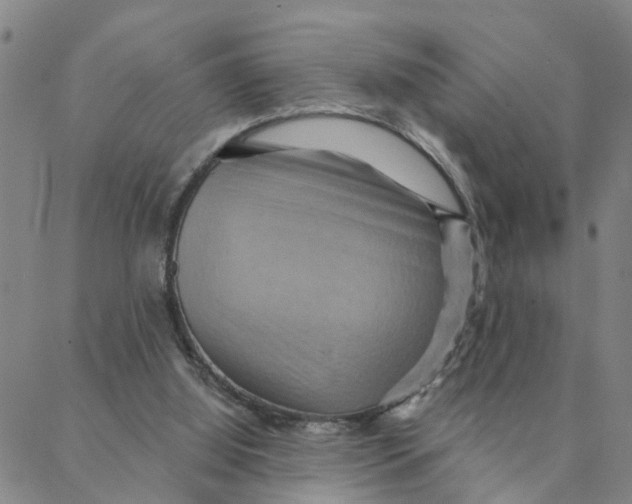 X0000088380060200706121155